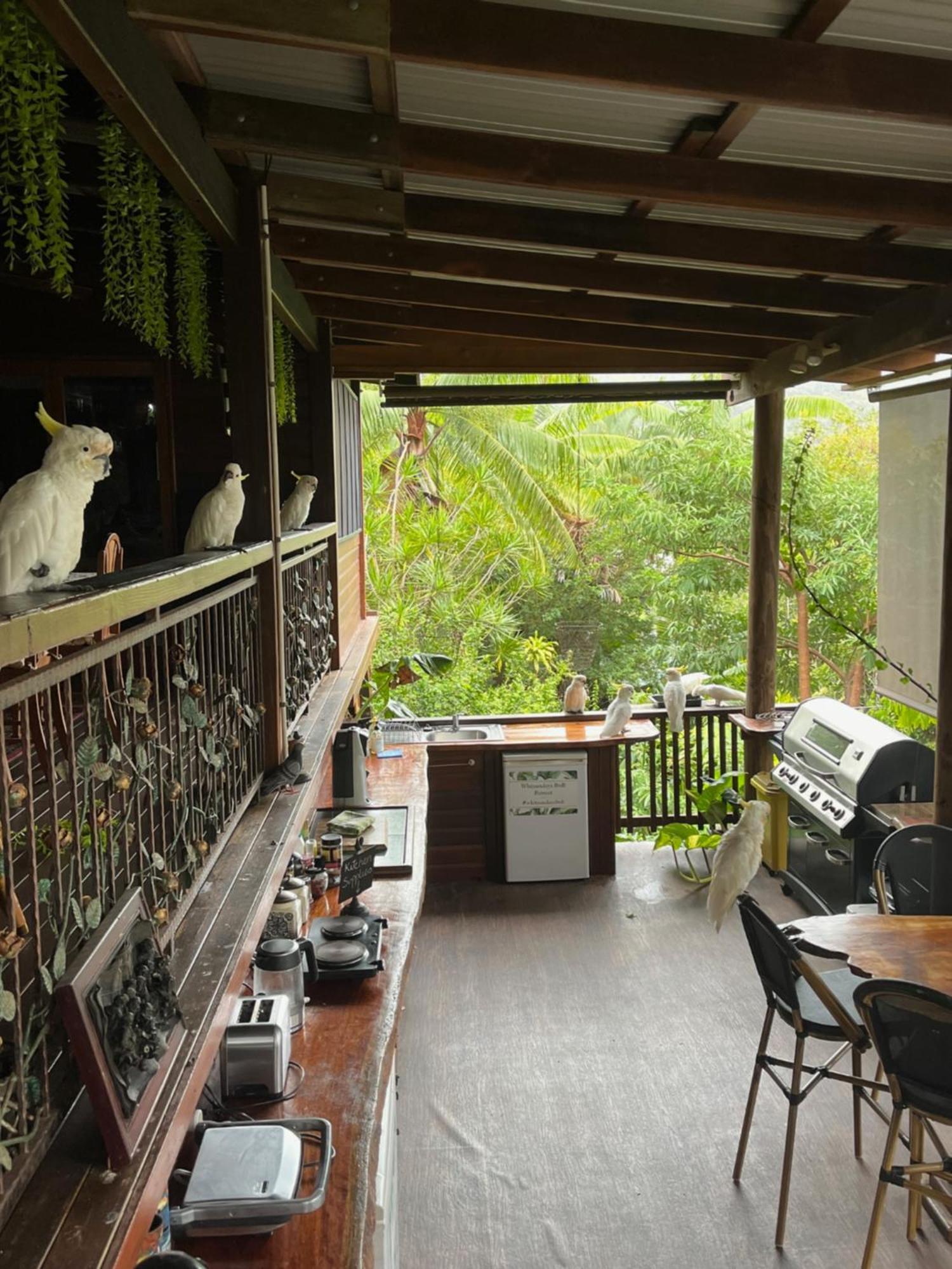 Whitsundays Bnb Retreat Airlie Beach Buitenkant foto