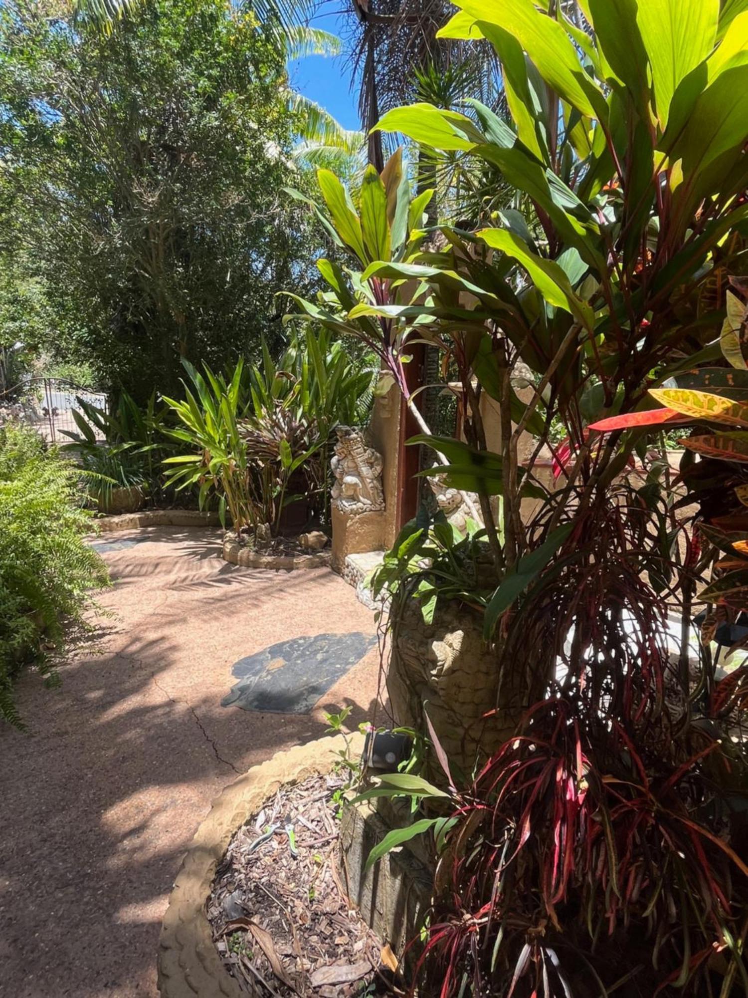 Whitsundays Bnb Retreat Airlie Beach Buitenkant foto