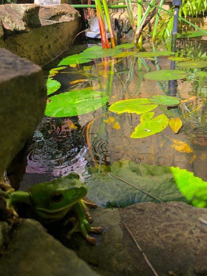 Whitsundays Bnb Retreat Airlie Beach Buitenkant foto
