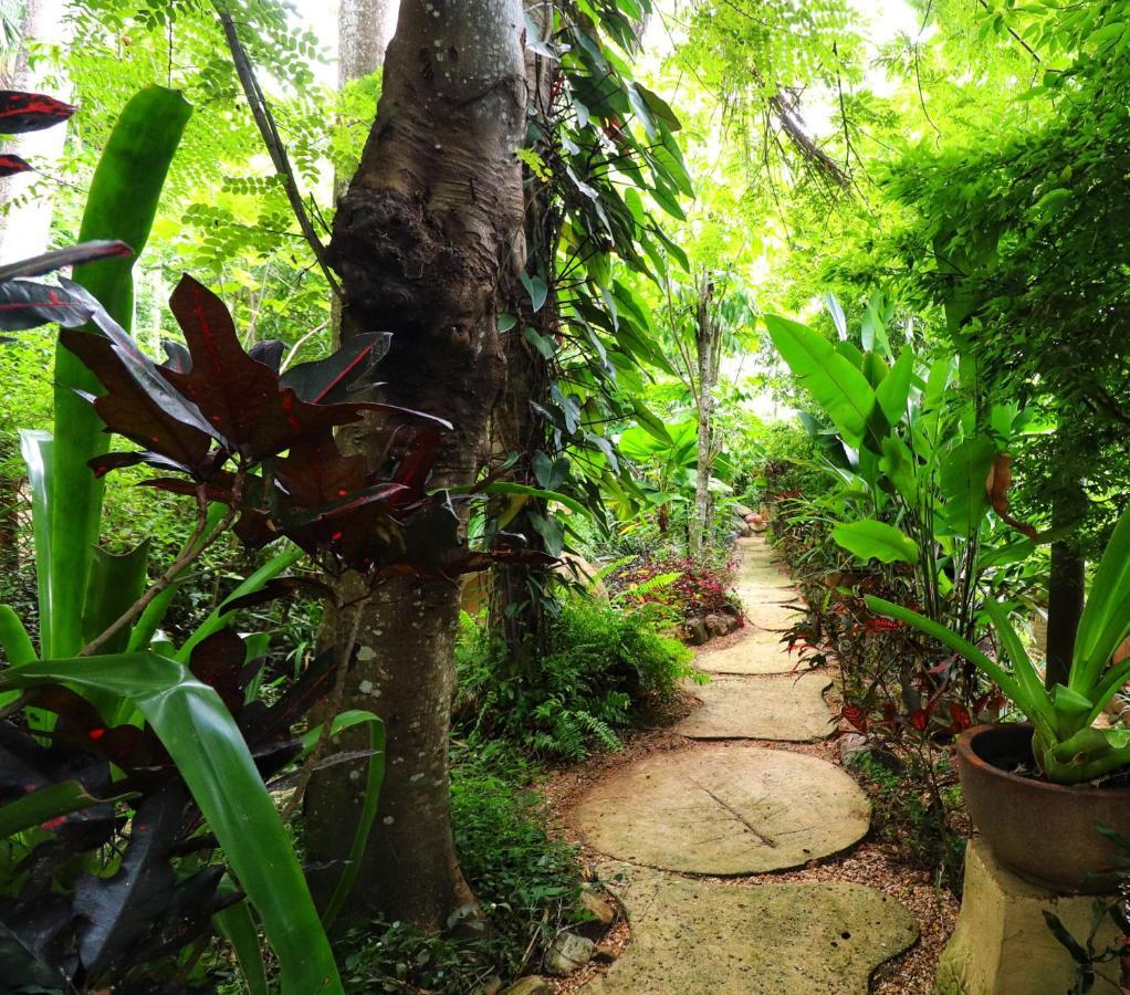 Whitsundays Bnb Retreat Airlie Beach Buitenkant foto